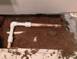 公主岭测漏水哪家好