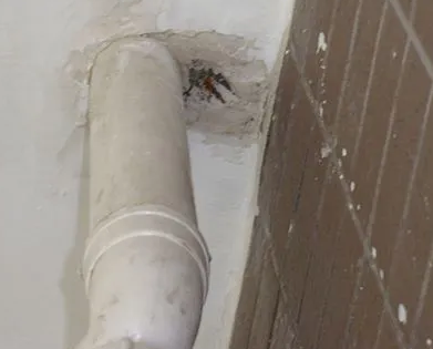 公主岭漏水检测哪家好